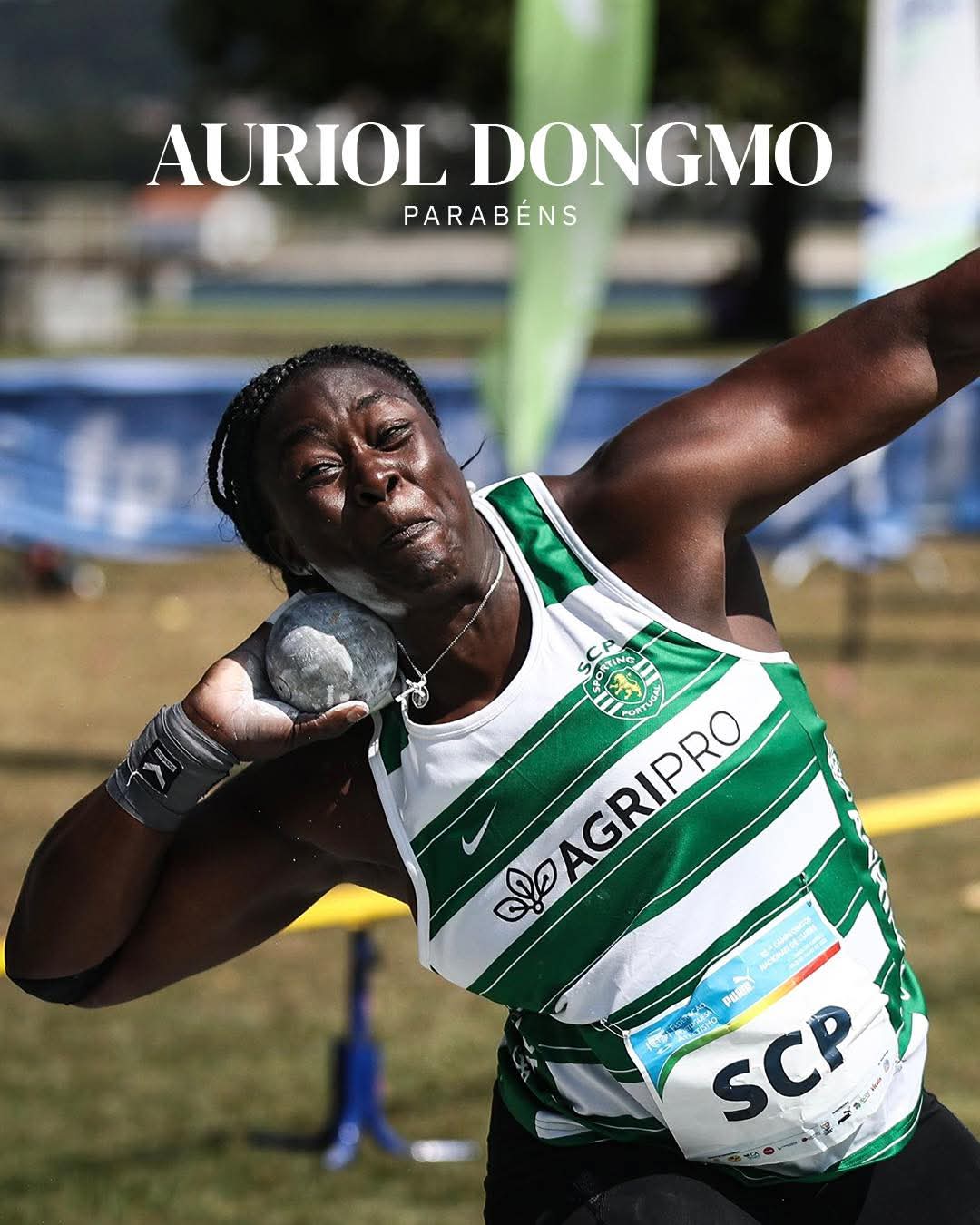 auriole.jpg (136 KB)