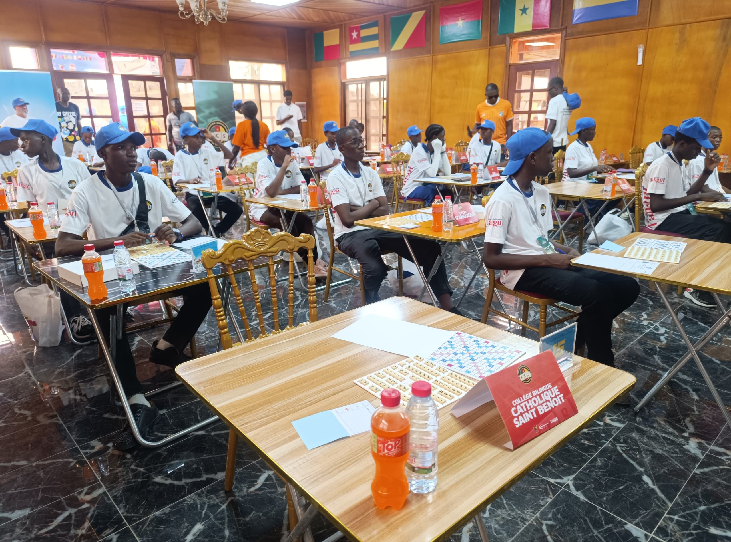 ffffse.jpeg (523 KB)