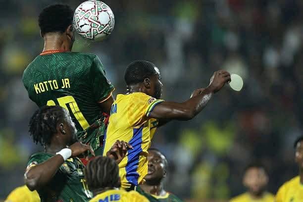 liooonns.jpg (29 KB)